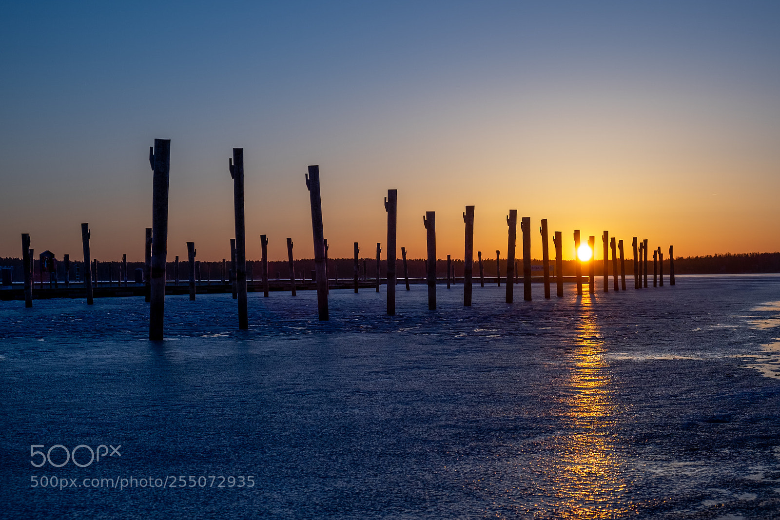 Fujifilm X-T1 sample photo. Frozen morning photography
