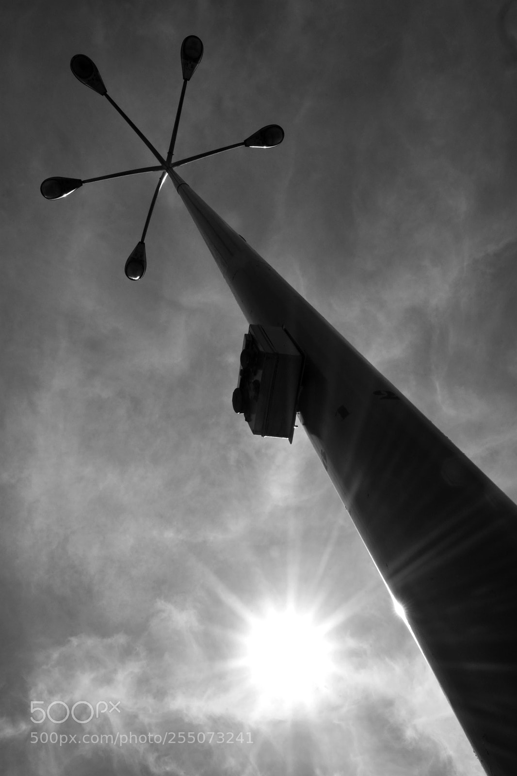 Nikon D7200 sample photo. Cure for arrogance sun photography