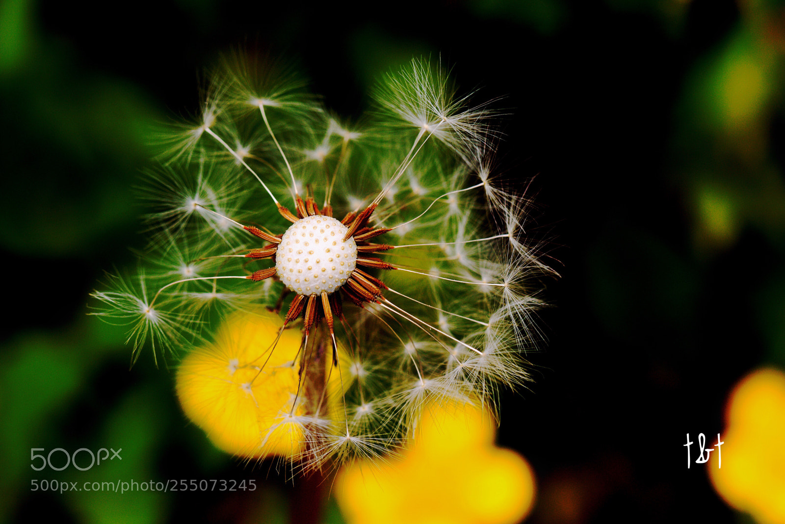 Canon EOS 7D sample photo. Untitled photography
