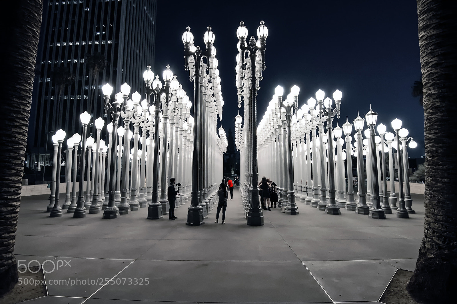 Nikon D810 sample photo. Urban lights photography