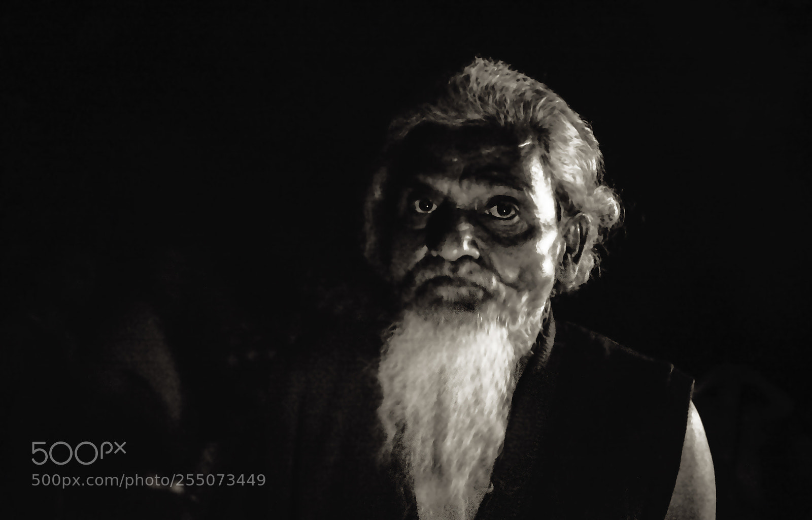 Nikon D7100 sample photo. Untitled photography