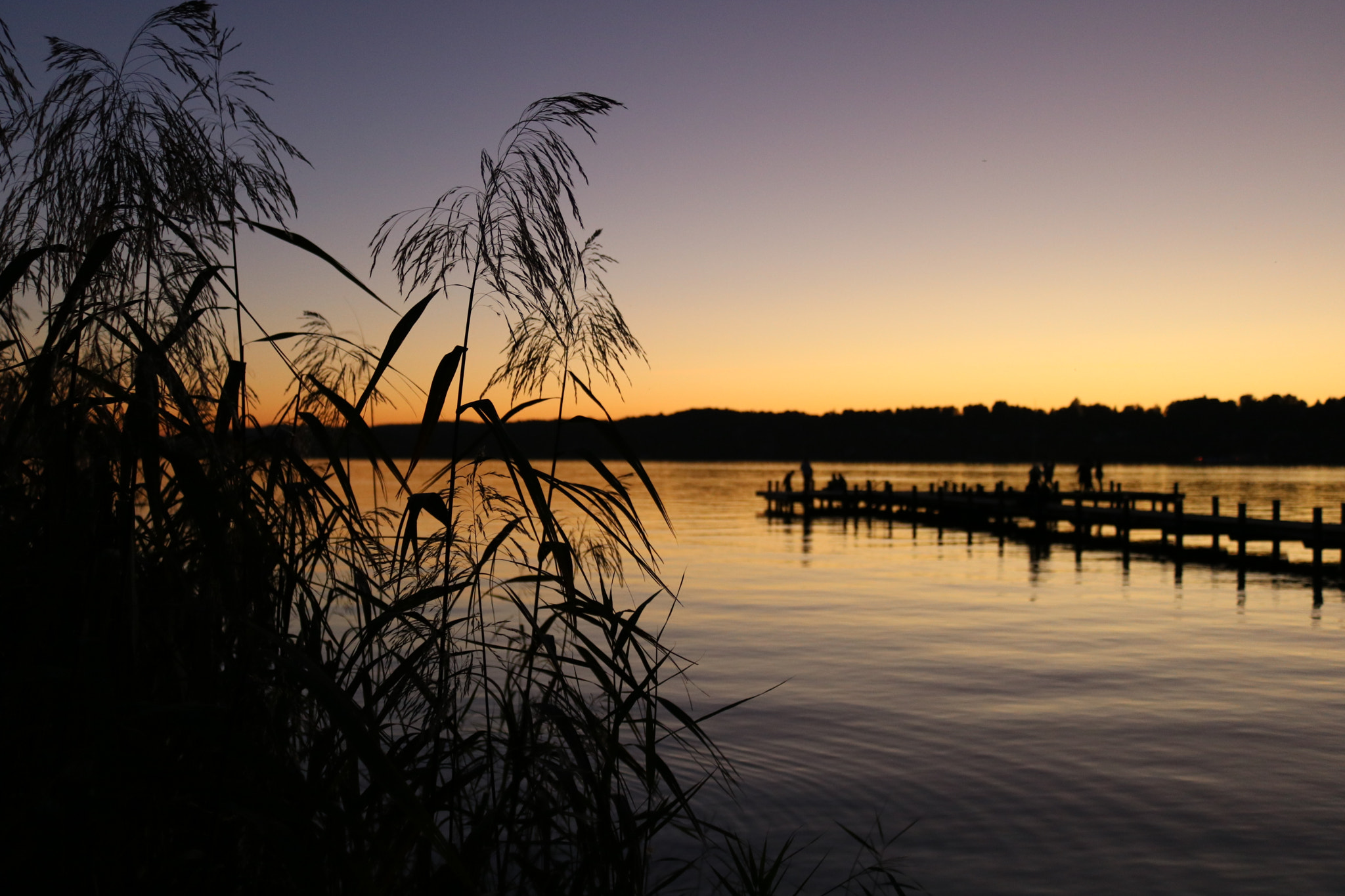 Canon EOS 750D (EOS Rebel T6i / EOS Kiss X8i) sample photo. How it all started! photography
