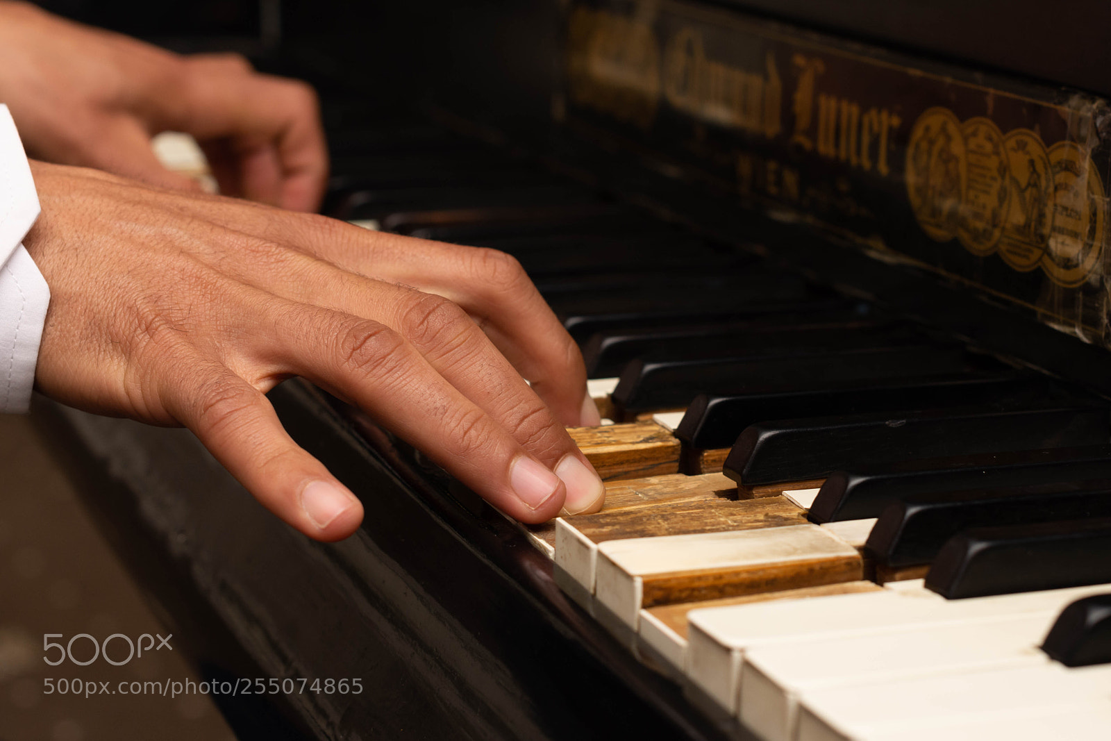 Nikon D7200 sample photo. Delicately handled photography