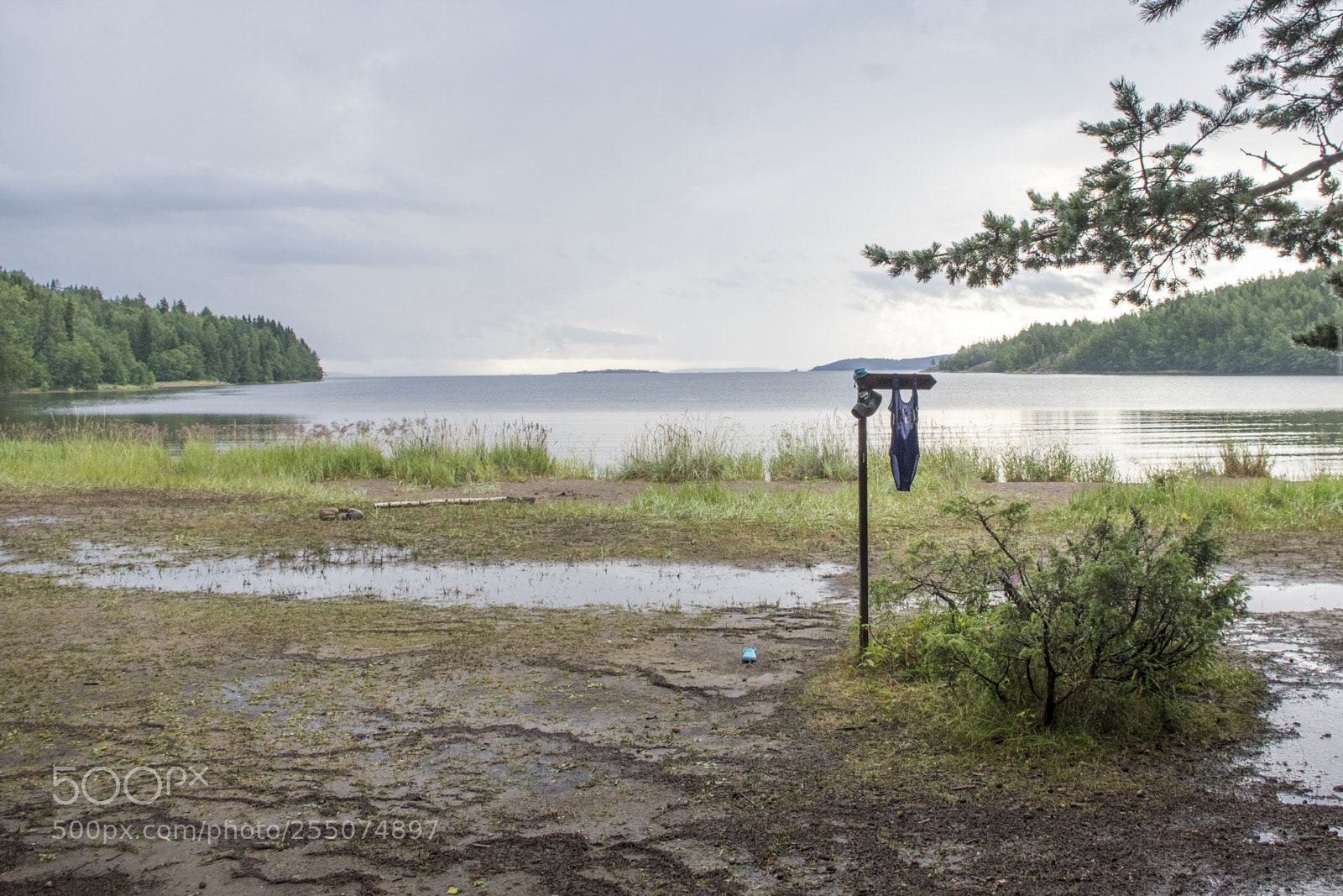 Pentax K-3 II sample photo. Matin pluvieux au skuleskogen photography