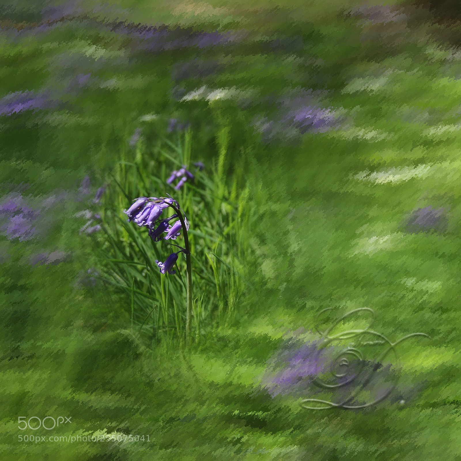 Canon EOS 60D sample photo. Fleur de printemps photography