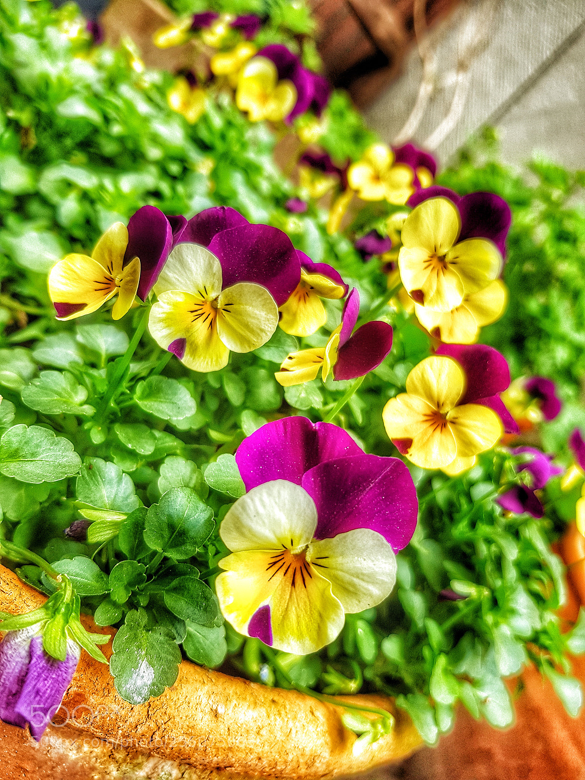 Samsung Galaxy S8+ sample photo. Untitled photography