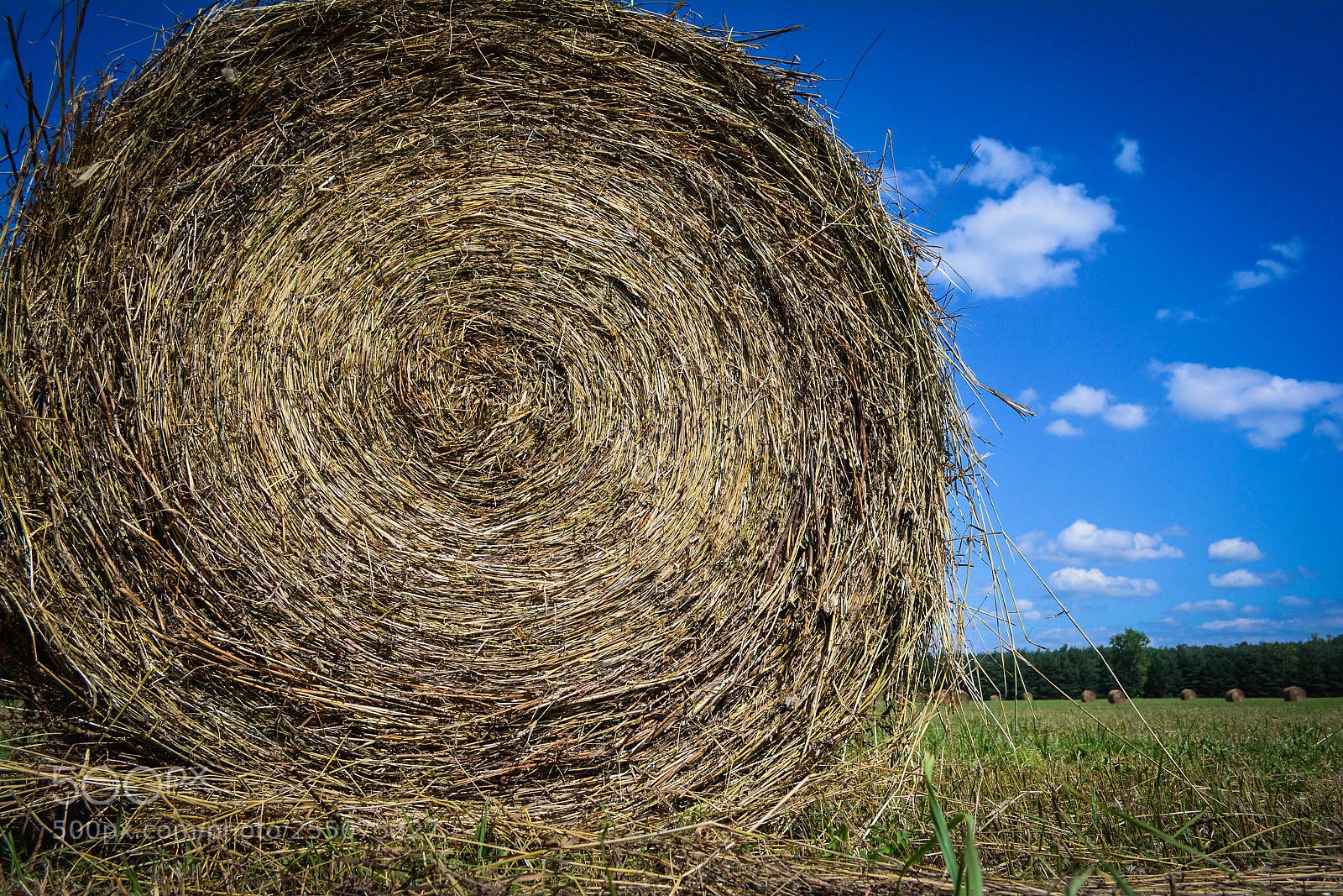 Nikon D5200 sample photo. Hay wheels  photography