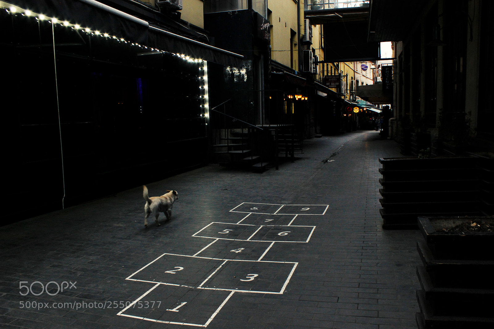 Canon EOS 600D (Rebel EOS T3i / EOS Kiss X5) sample photo. Tbilisi.... photography