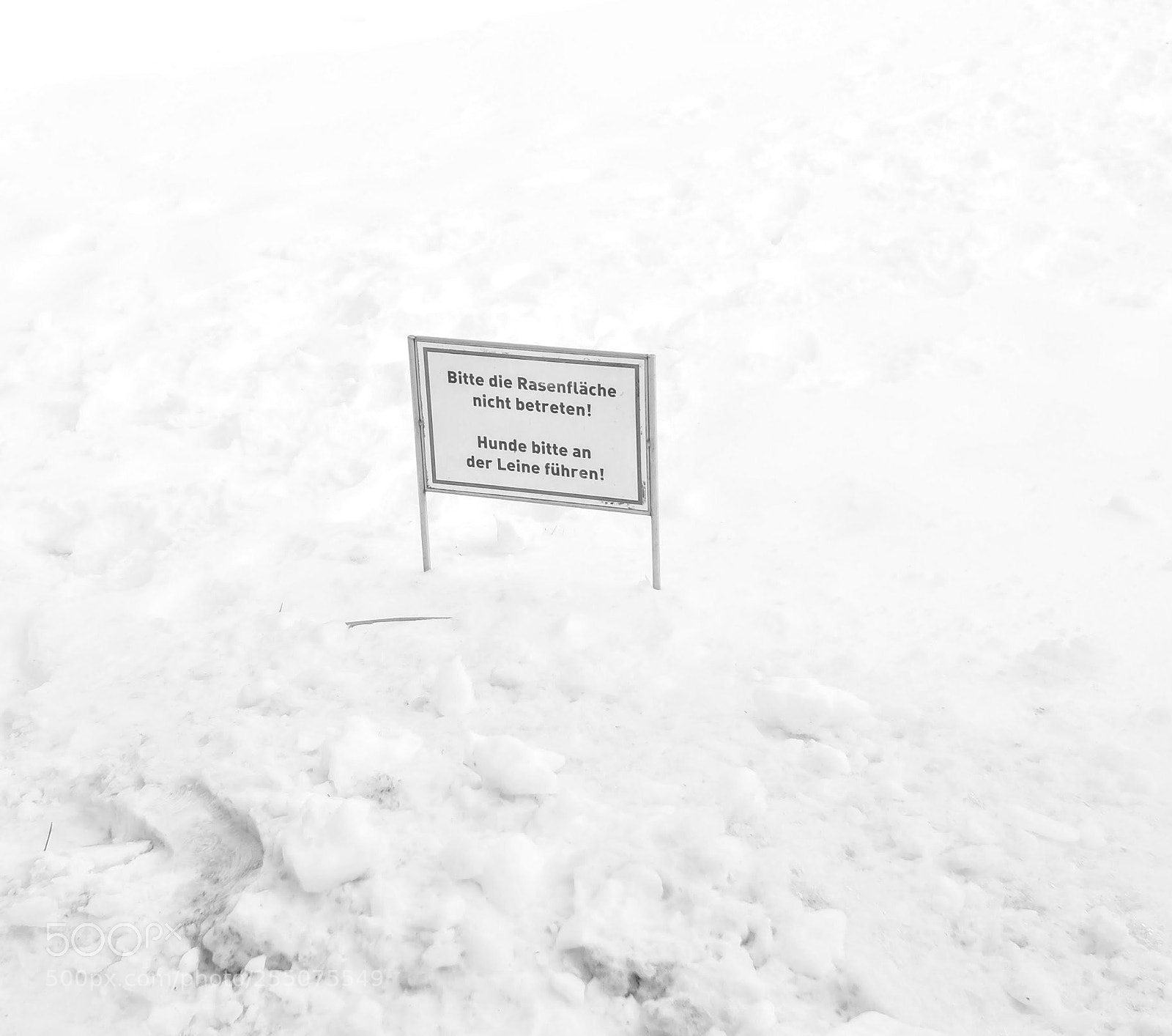 Fujifilm X70 sample photo. Winter times photography