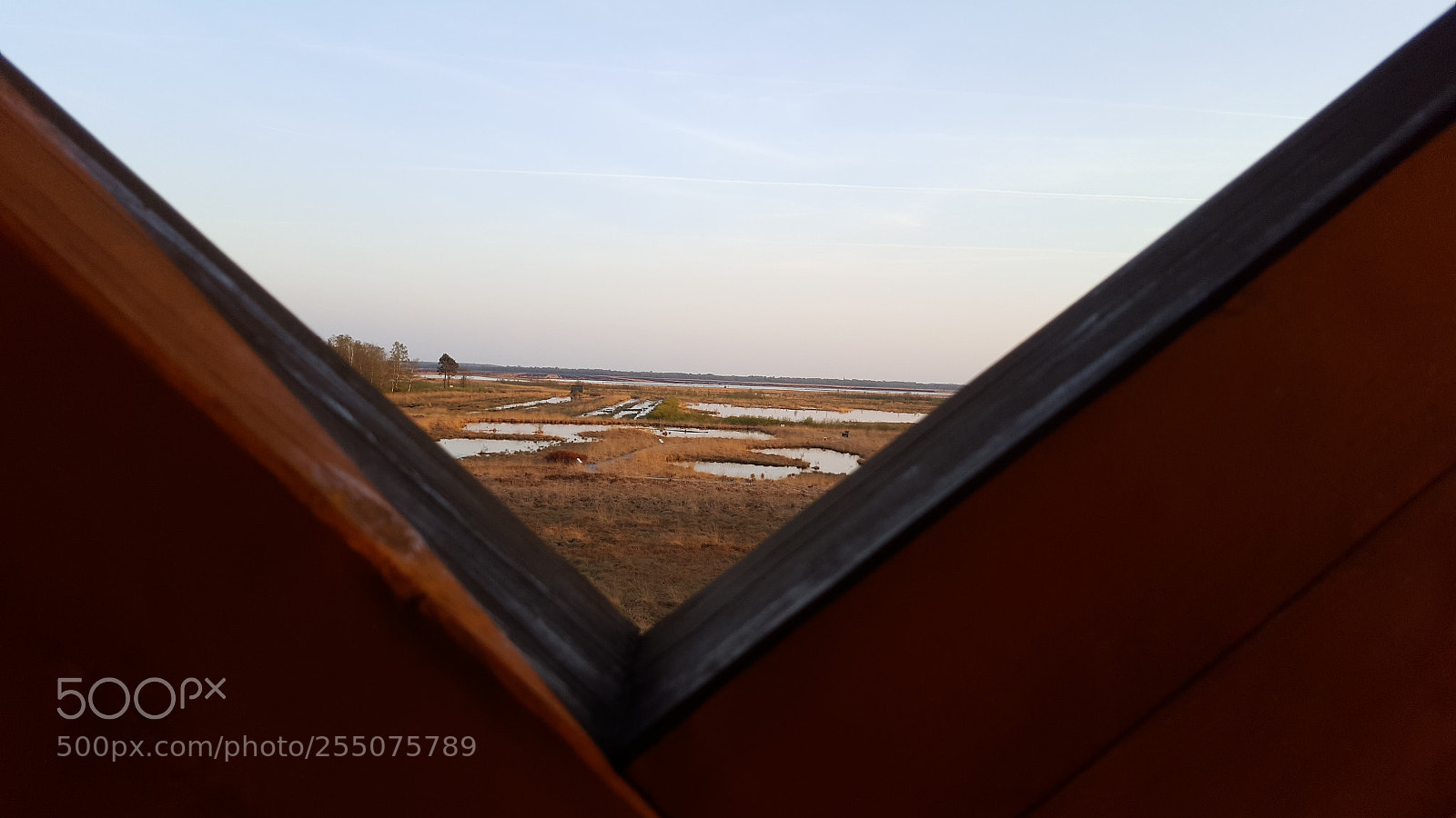 Samsung Galaxy S6 sample photo. Marshland photography