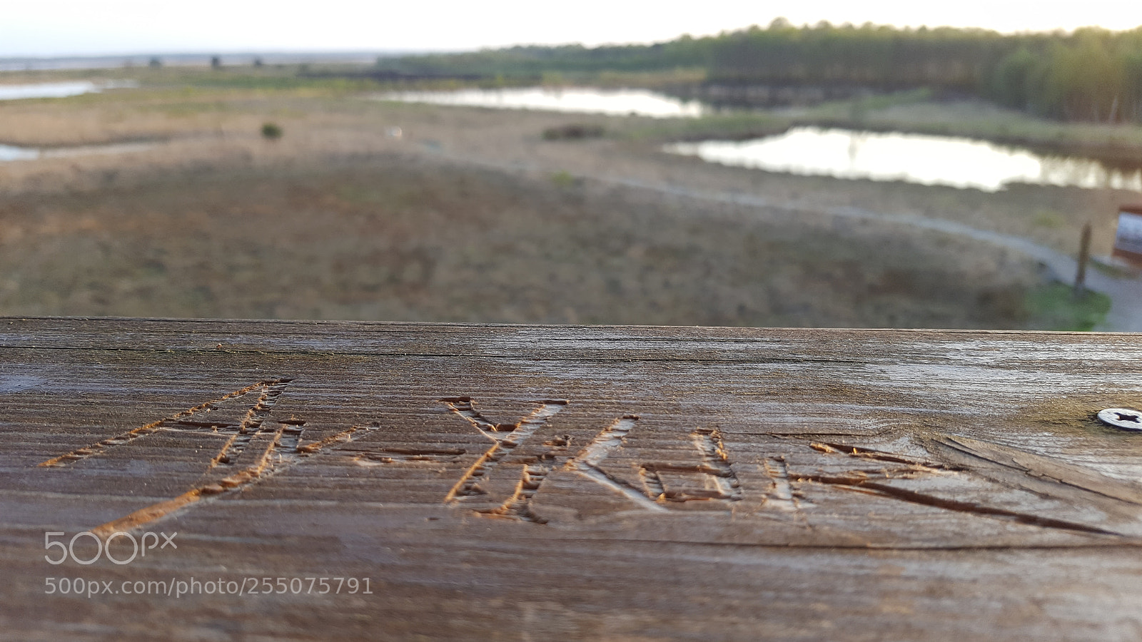 Samsung Galaxy S6 sample photo. Graffiti photography