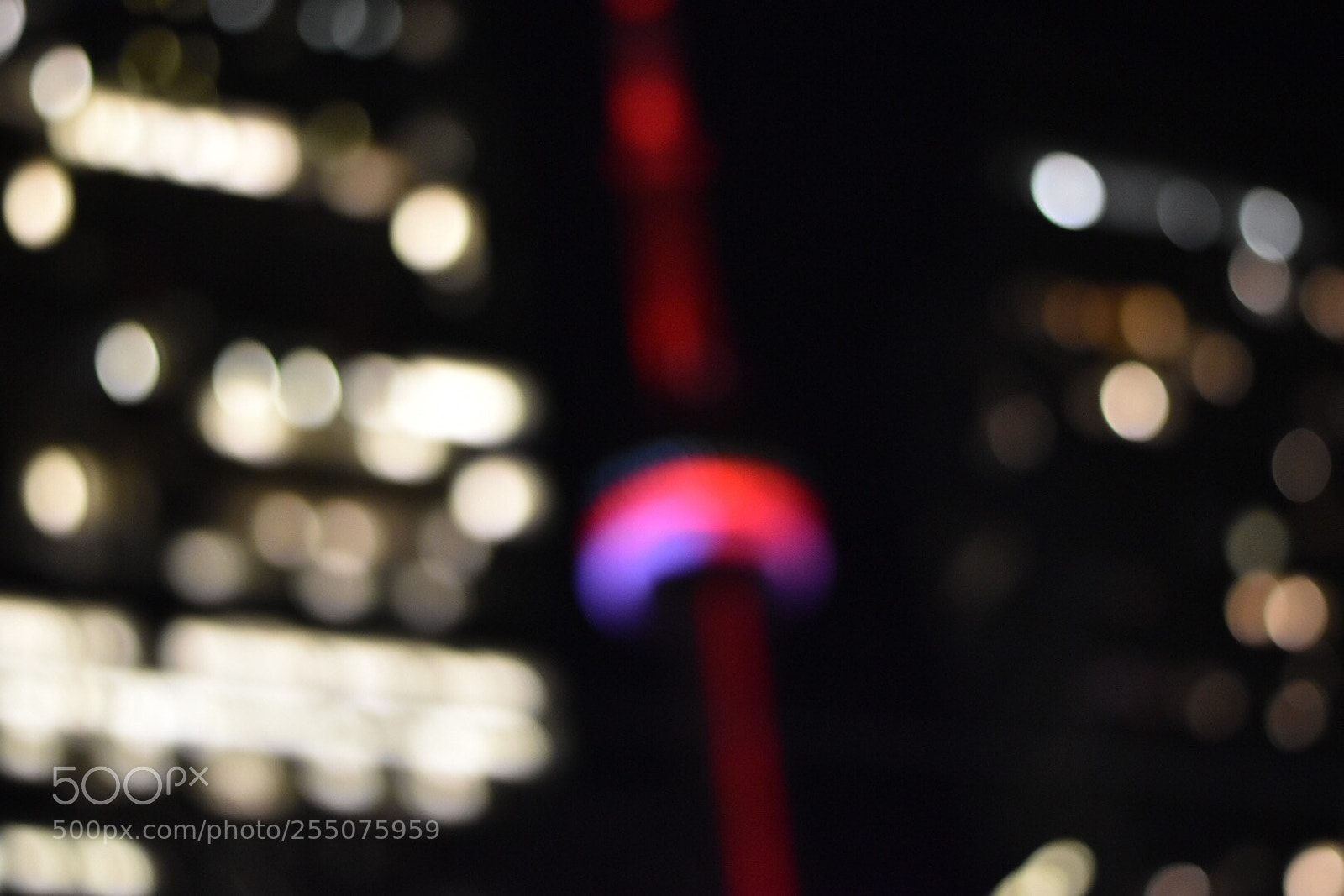 Nikon D5500 sample photo. Cn tower  photography