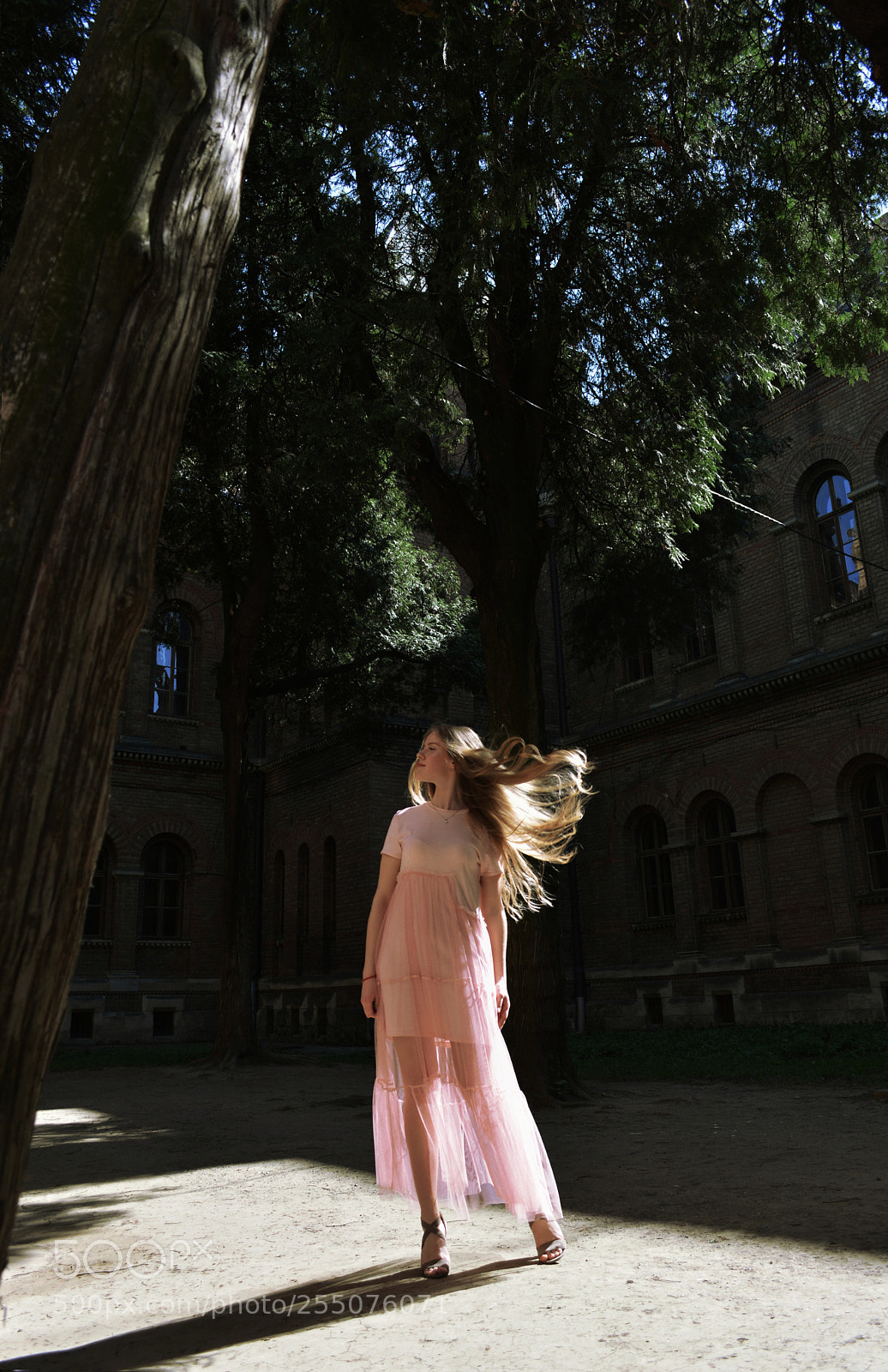 Nikon D5200 sample photo. Untitled photography
