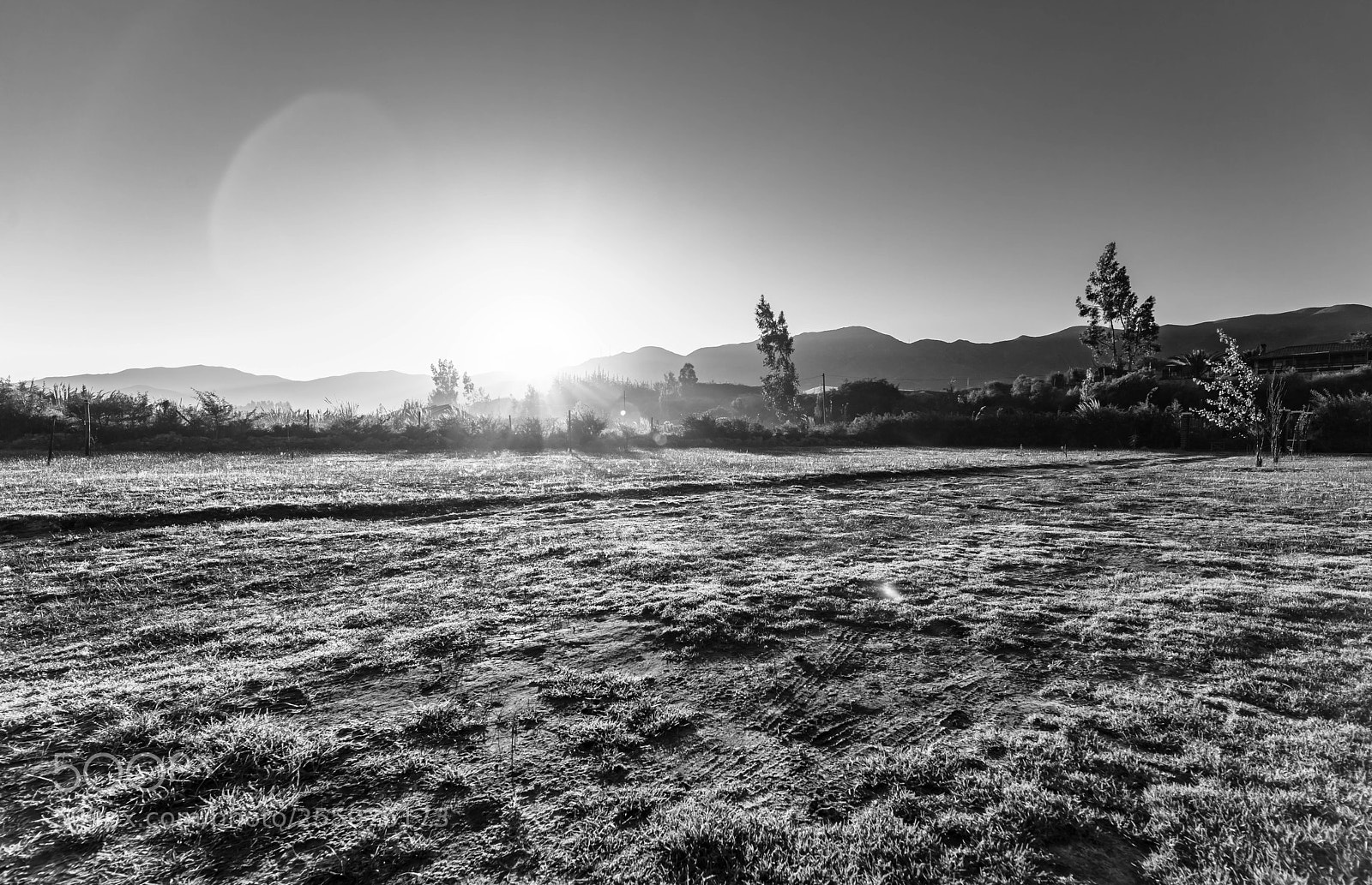 Pentax K-1 sample photo. Sunshine in the morning photography