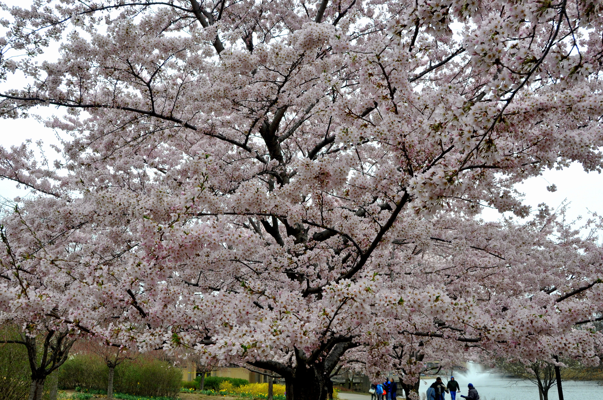 Nikon D90 sample photo. A photography