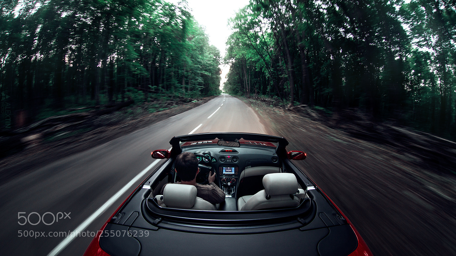 Nikon D600 sample photo. Mercedes-benz sl600 photography