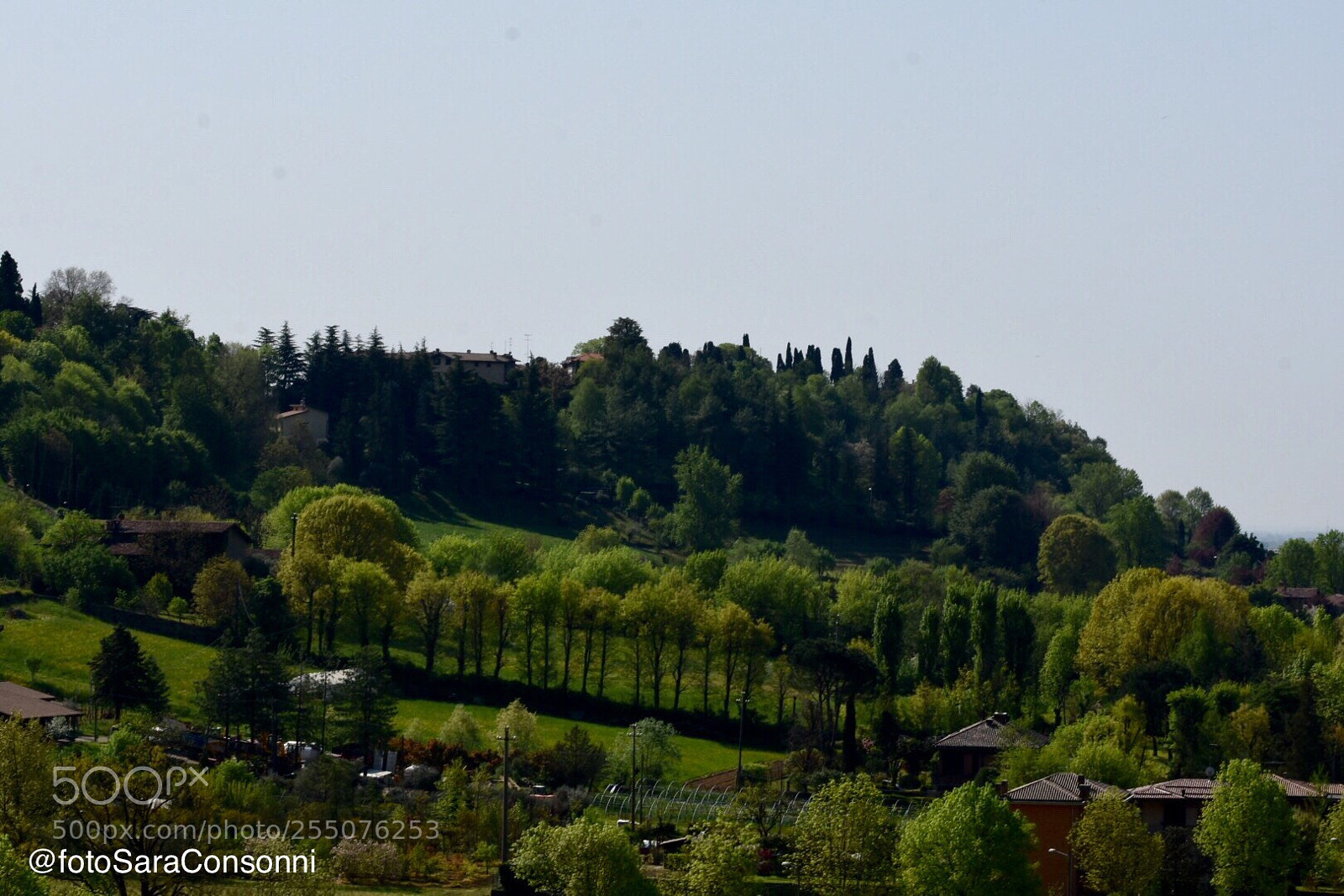 Nikon D7200 sample photo. Colline photography
