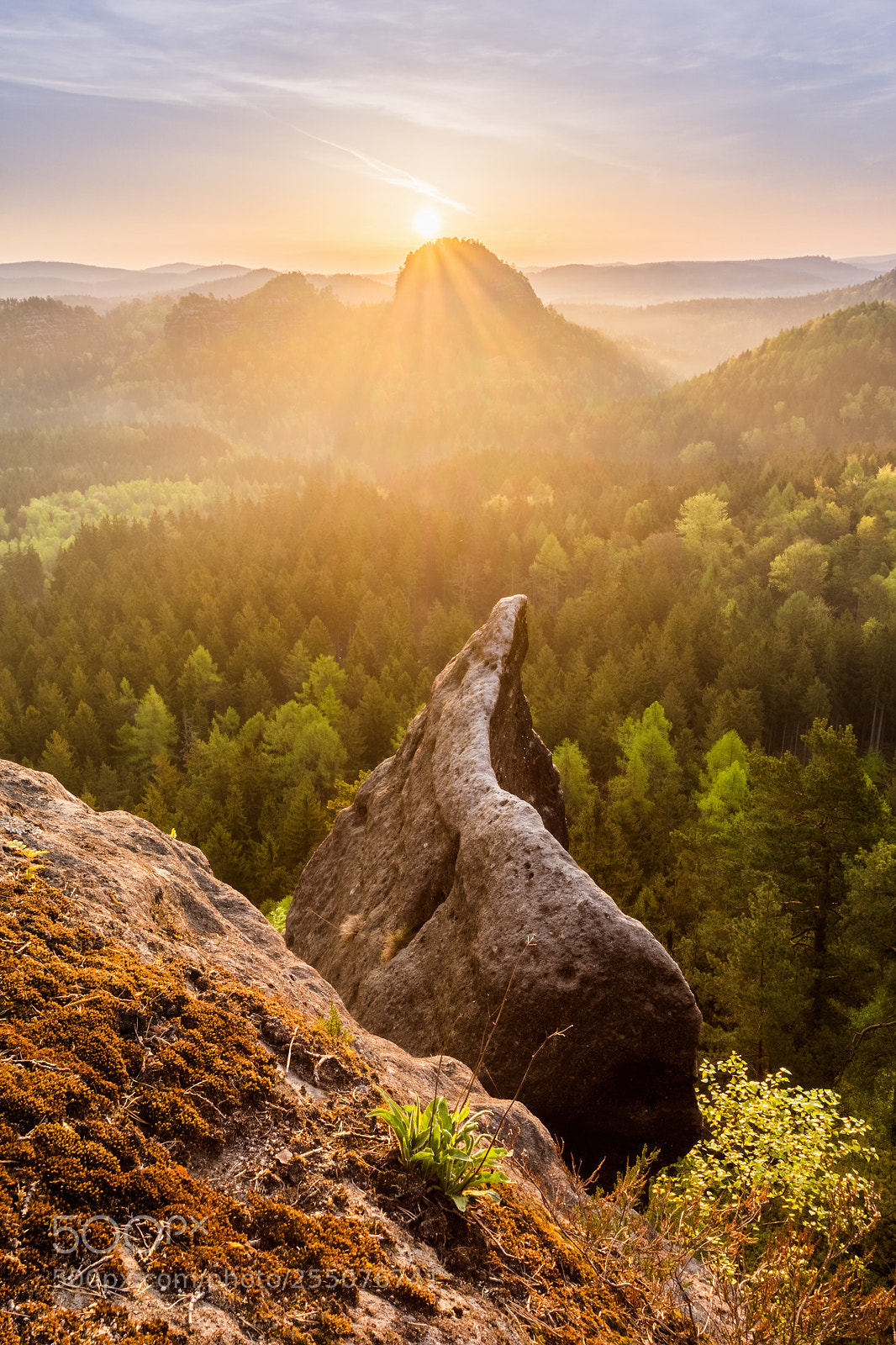Sony SLT-A77 sample photo. Spring in saxon switzerland photography
