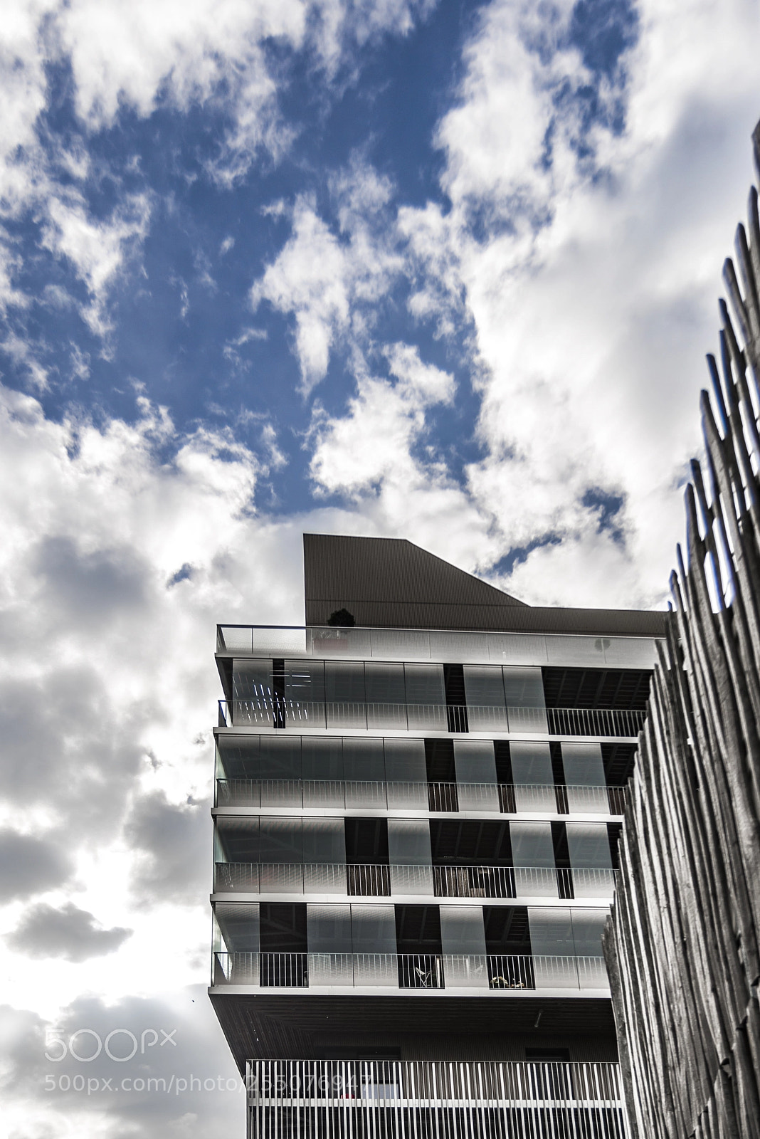 Nikon D610 sample photo. To the sky photography