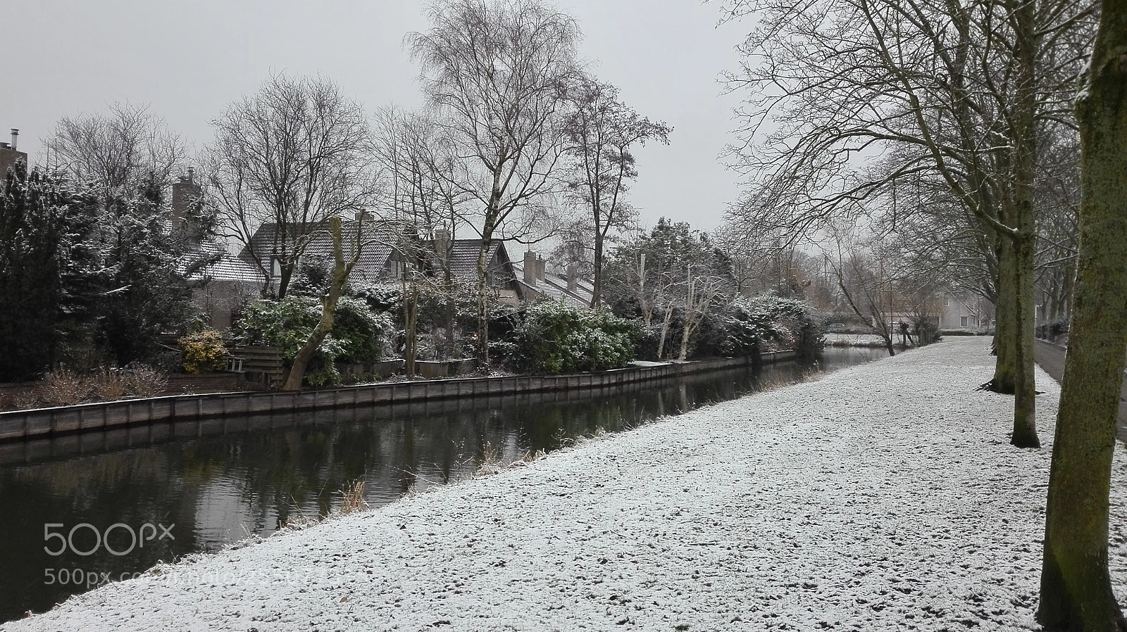 HUAWEI P8 Lite sample photo. Snow day photography
