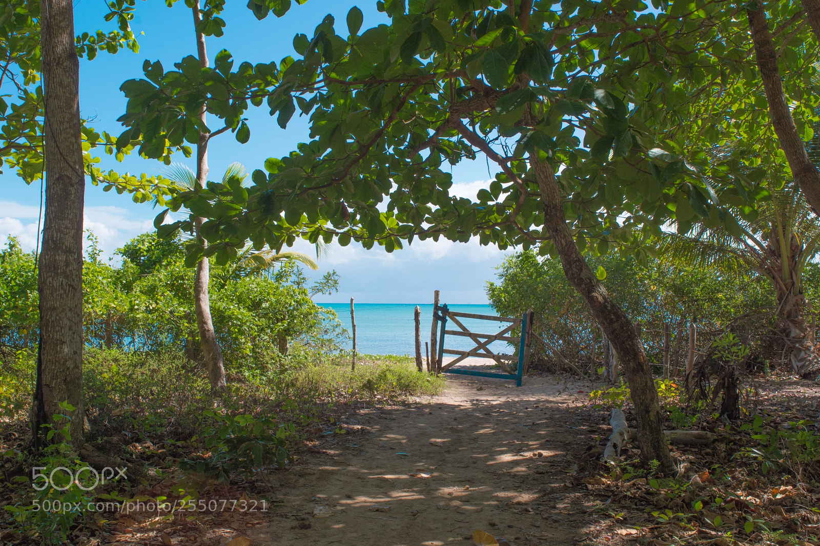 Nikon D5200 sample photo. Boipeba photography
