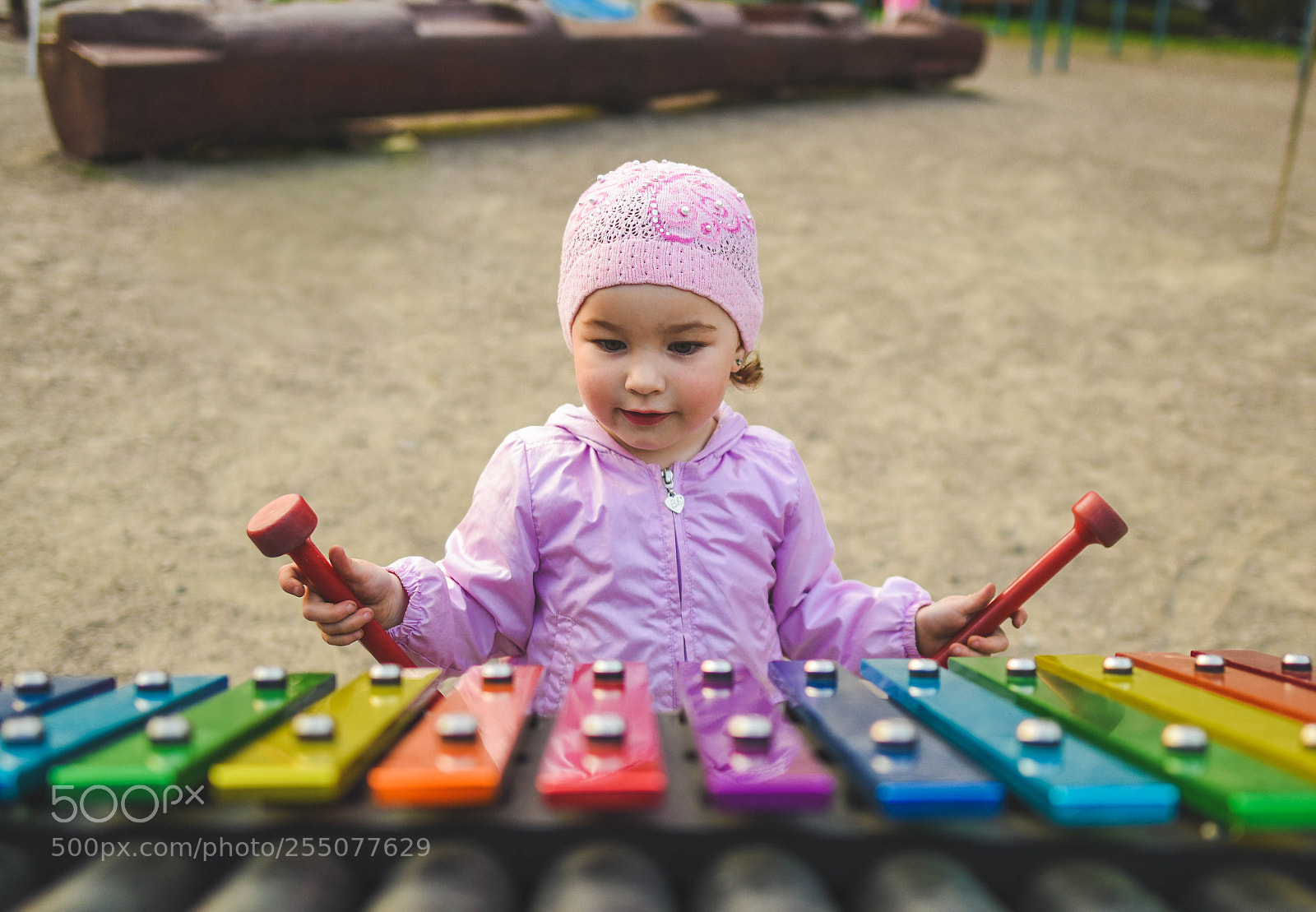 Nikon D810 sample photo. Musician photography