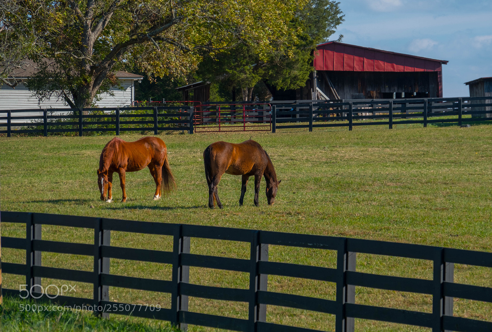 Fujifilm X-T2 sample photo. Spring on the farm photography