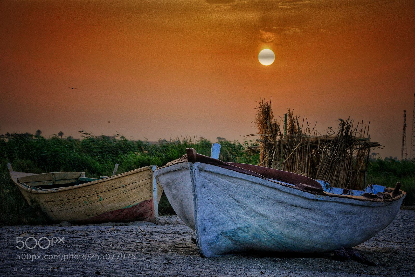 Nikon D610 sample photo. Golden sunset photography