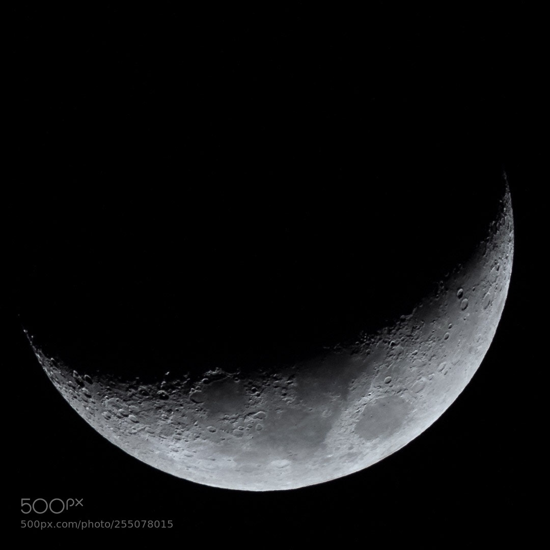 Nikon D850 sample photo. Moon  photography