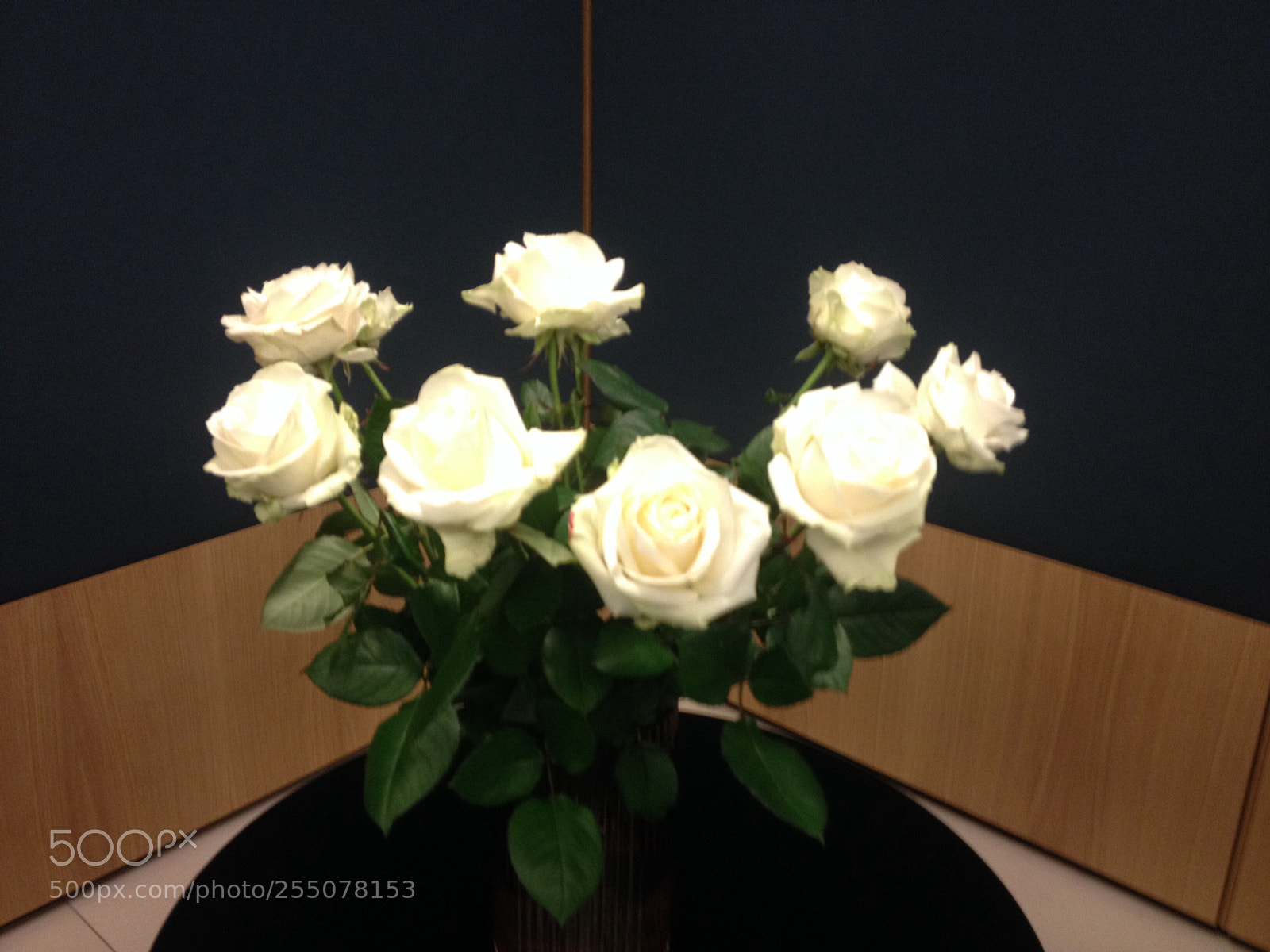 Apple iPhone 4S sample photo. Untitled photography