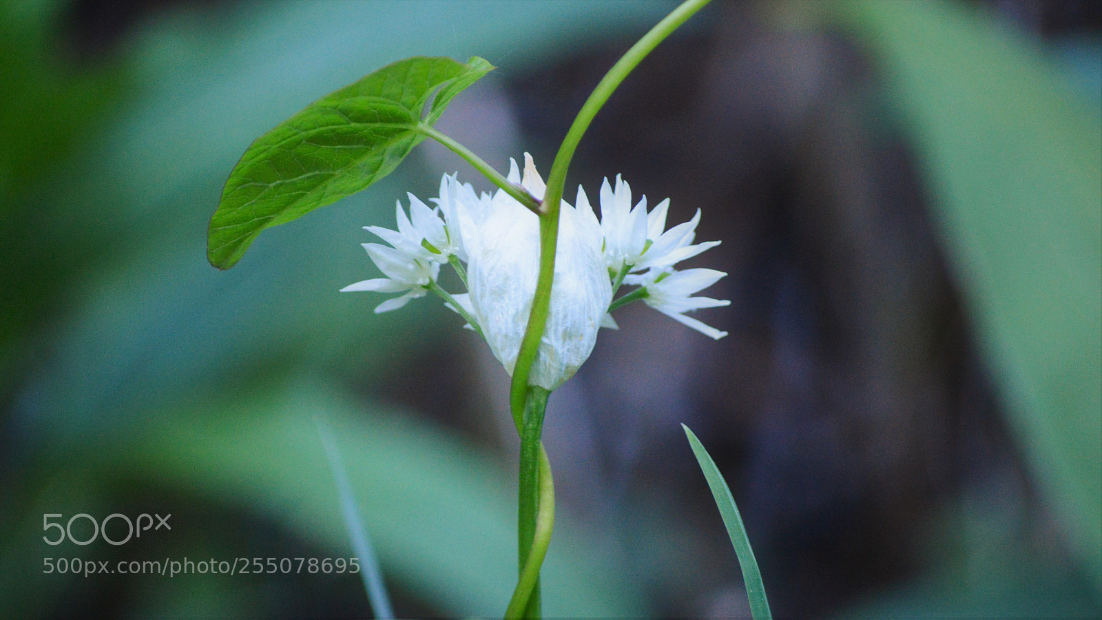 Nikon D3200 sample photo. Untitled photography