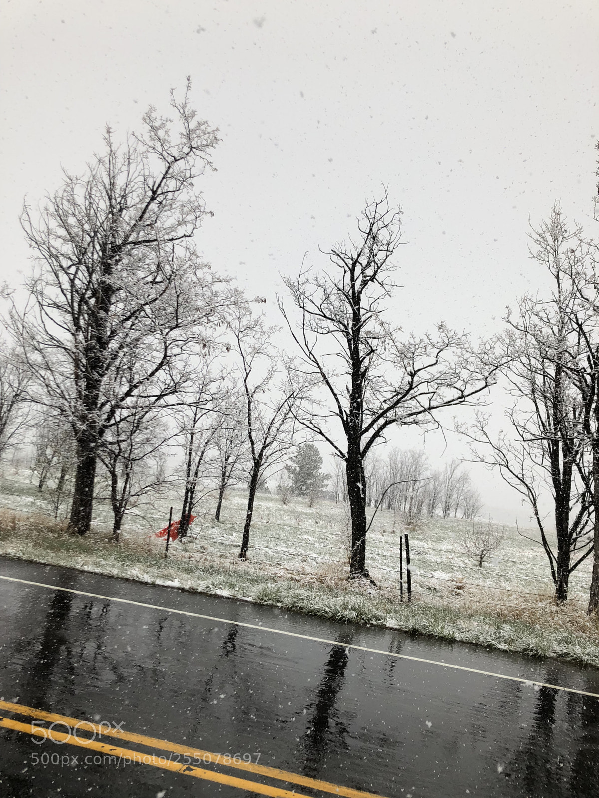 Apple iPhone 8 sample photo. Spring, sprang and sprong!! photography
