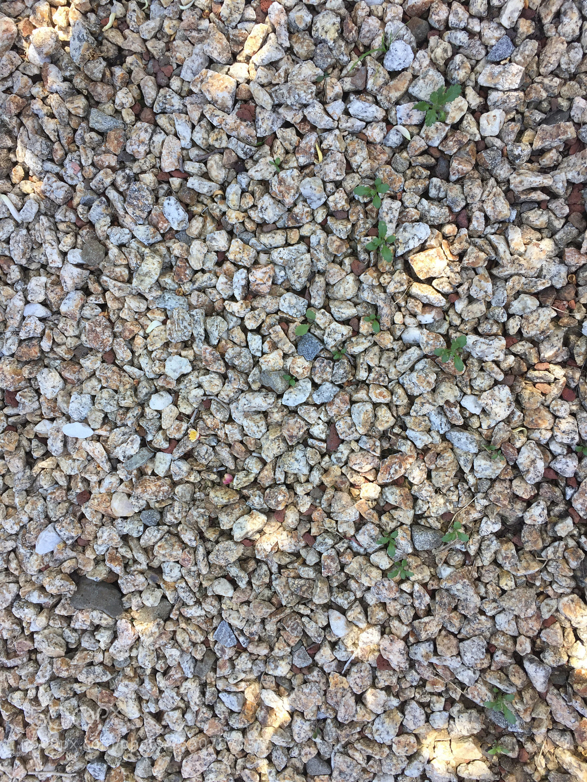 Apple iPhone 6 sample photo. Rocks photography