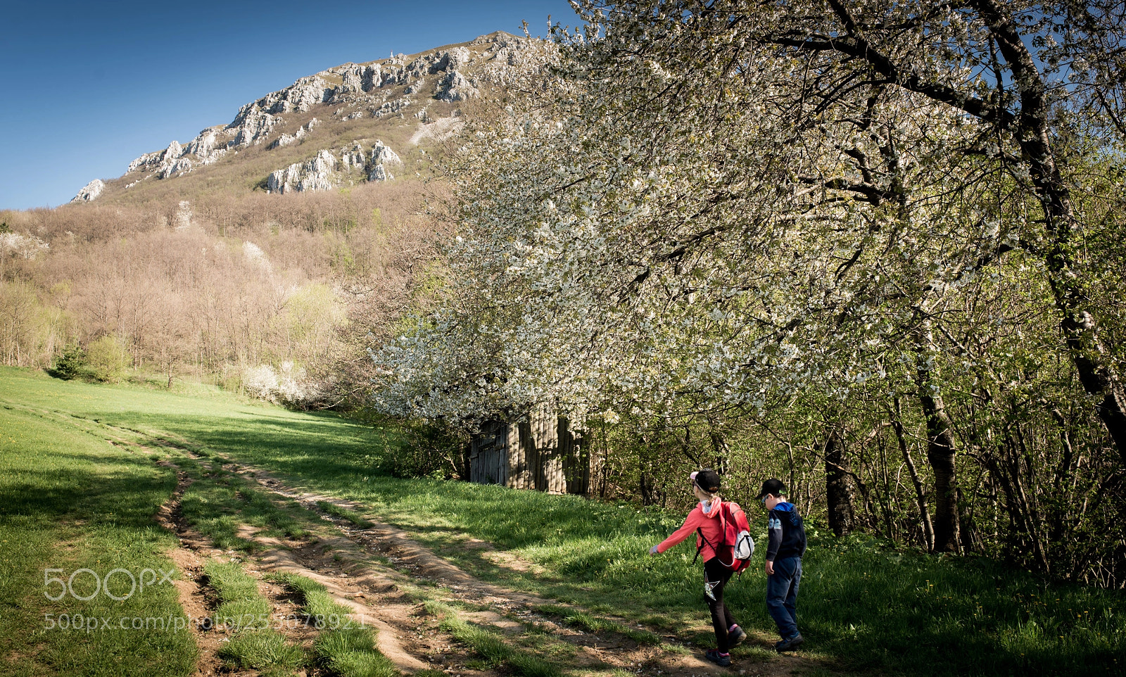 Nikon D600 sample photo. Springtime hike photography