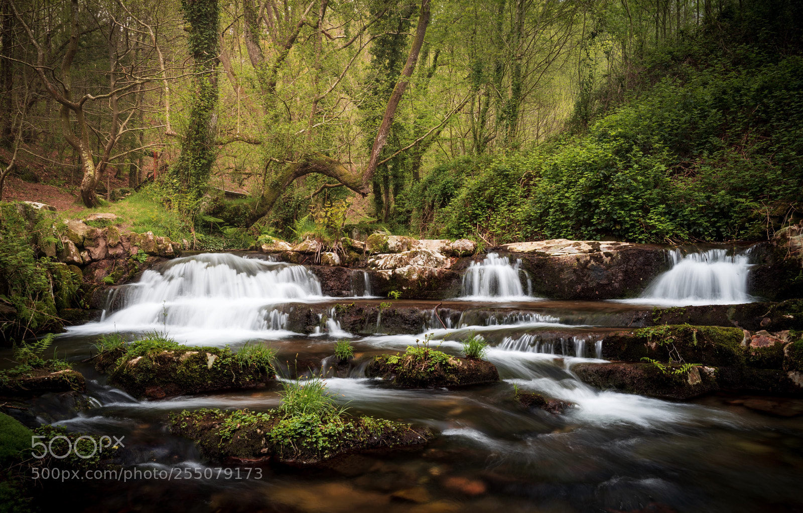 Sony a7 III sample photo. Cascadas de oneta. photography