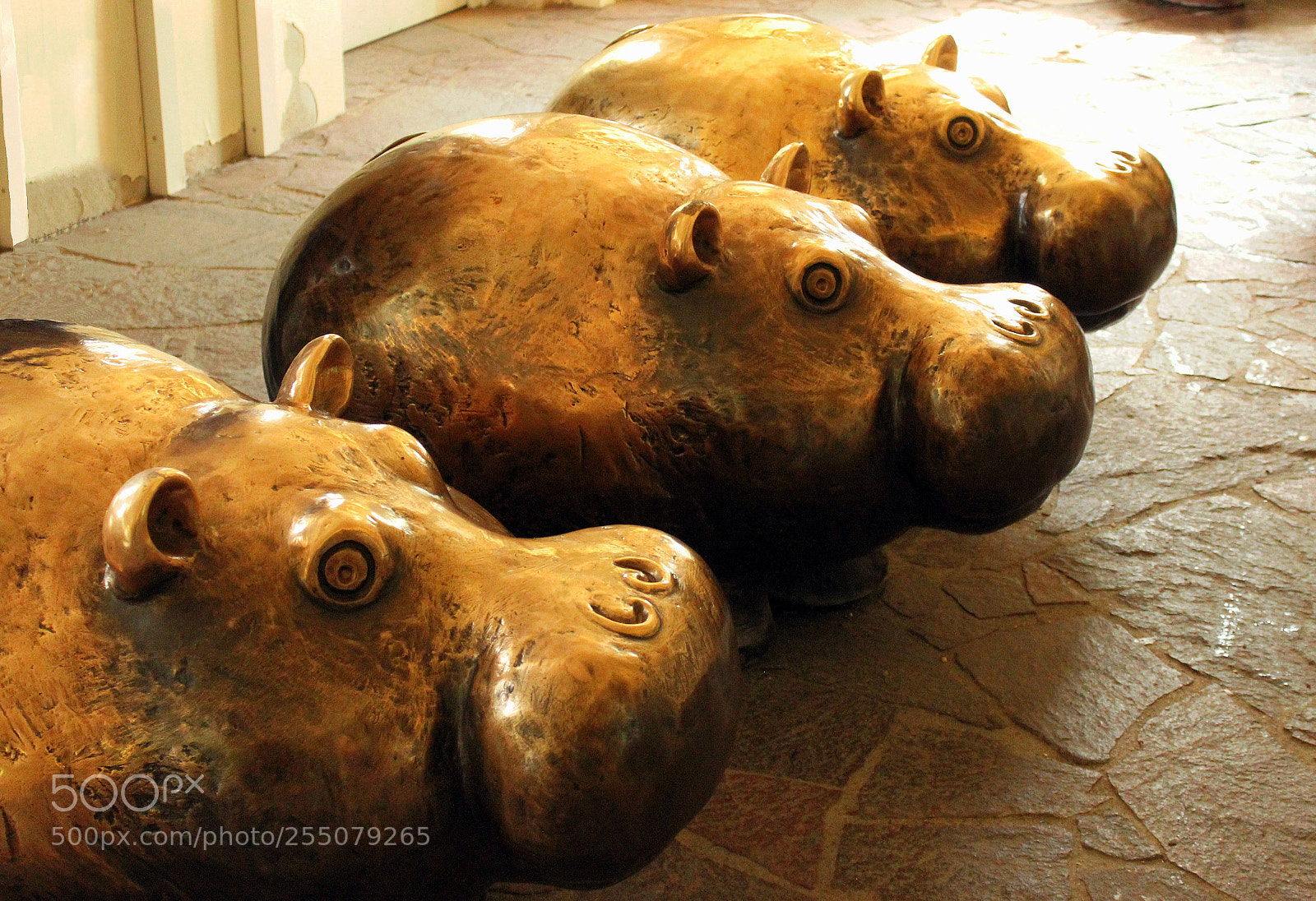 Canon EOS 1300D (EOS Rebel T6 / EOS Kiss X80) sample photo. Fancy hippo decoration sch photography