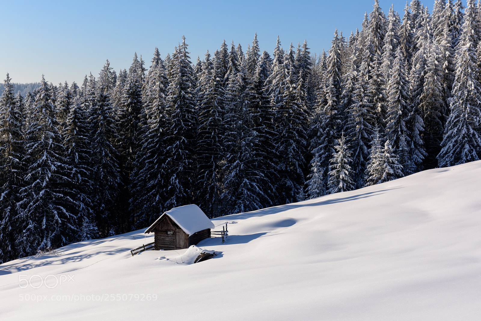 Nikon D810 sample photo. Hut on the hill photography