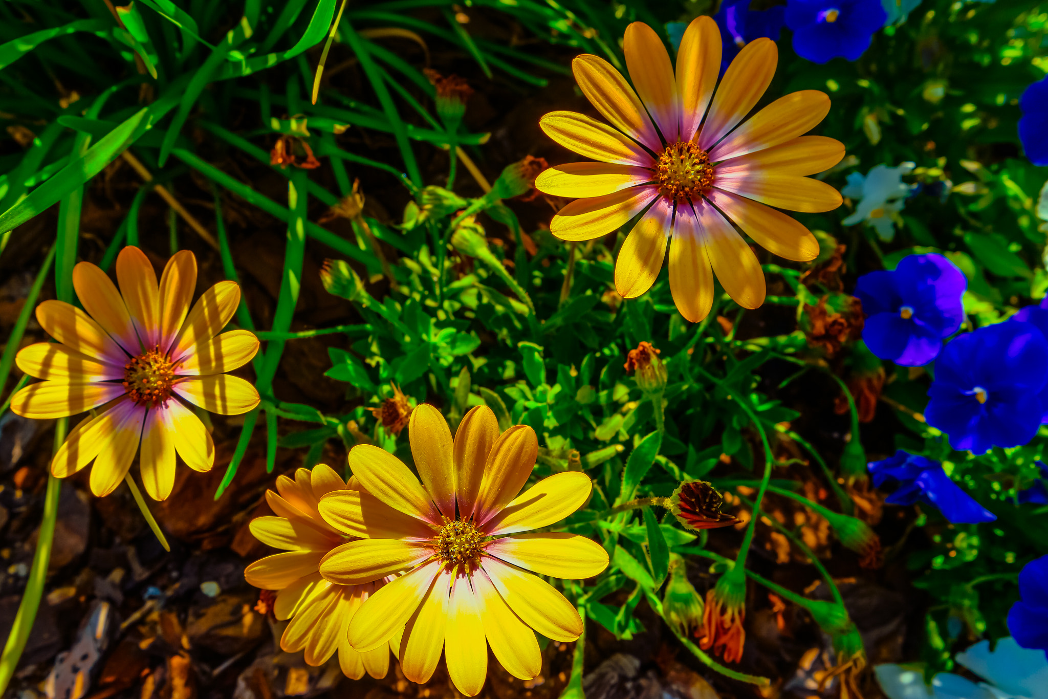 Samsung NX500 sample photo. Noa photography