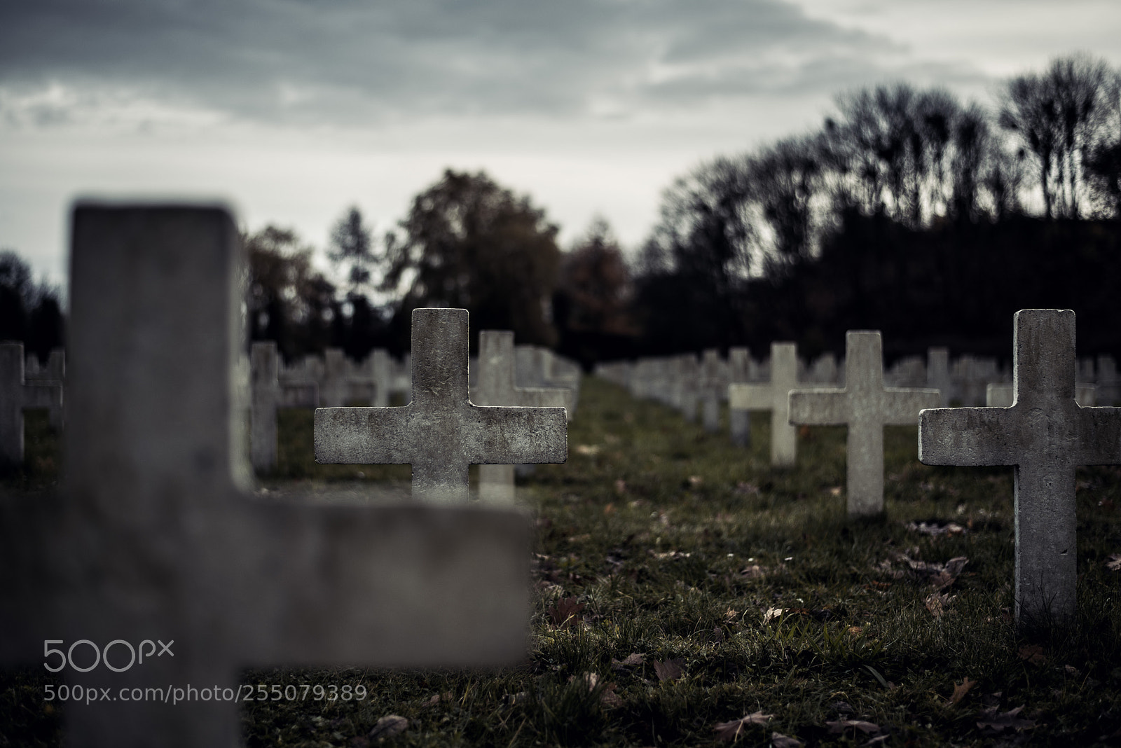 Nikon D810 sample photo. Crosses photography