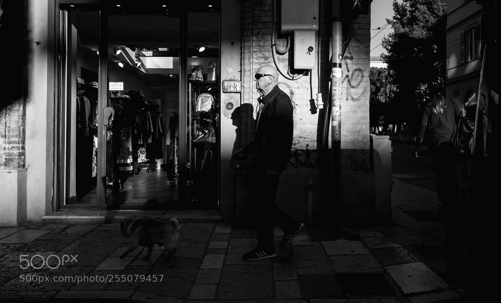 Leica M (Typ 240) sample photo. Like a boss photography