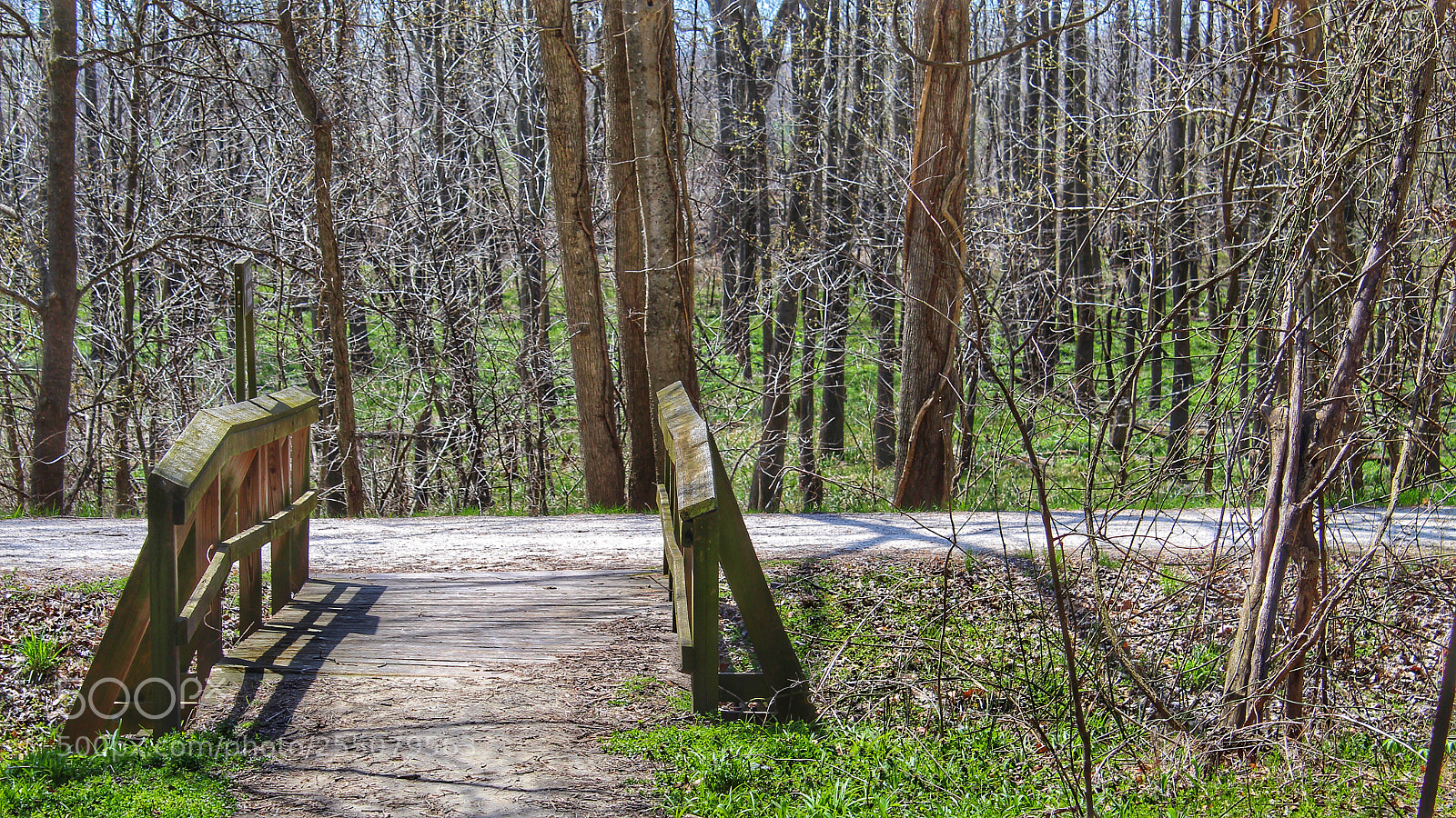 Canon EOS 1300D (EOS Rebel T6 / EOS Kiss X80) sample photo. Bridge and trail photography