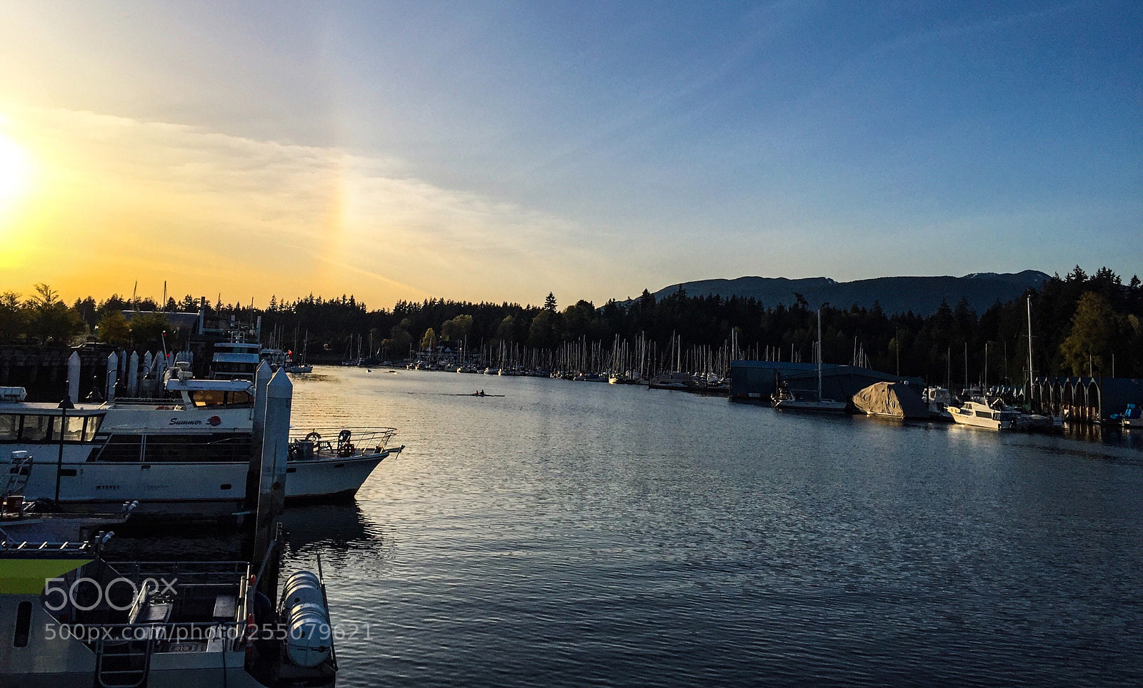 Apple iPhone 6 sample photo. Bc photography