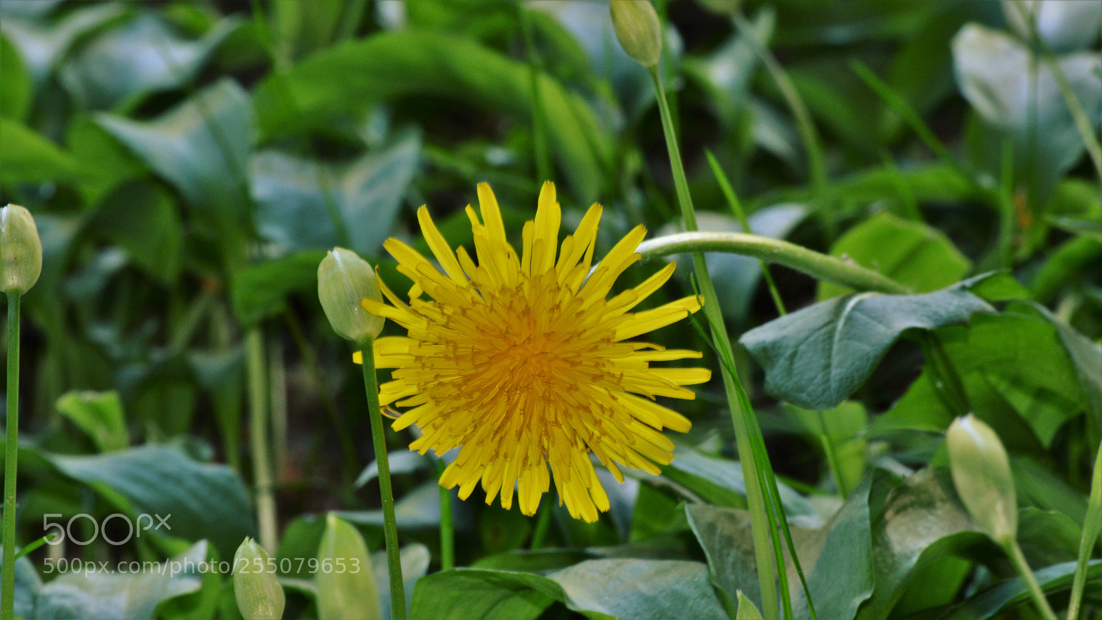 Nikon D3200 sample photo. Untitled photography