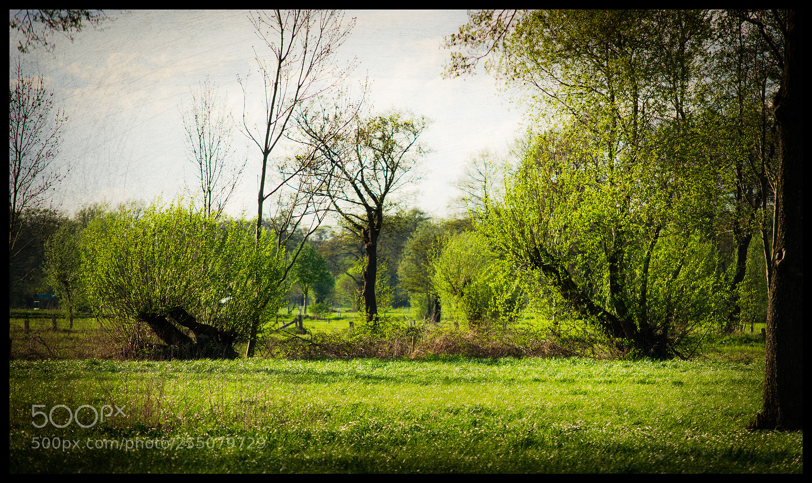 Nikon D5100 sample photo. Springtime - landscape photography