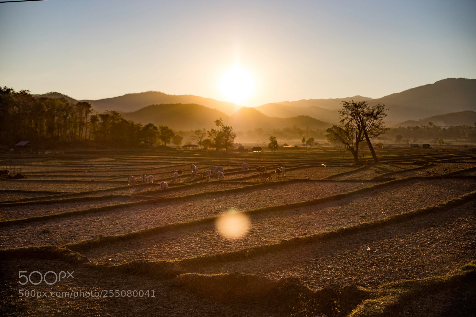 Canon EOS 6D Mark II sample photo. Sunset pai photography
