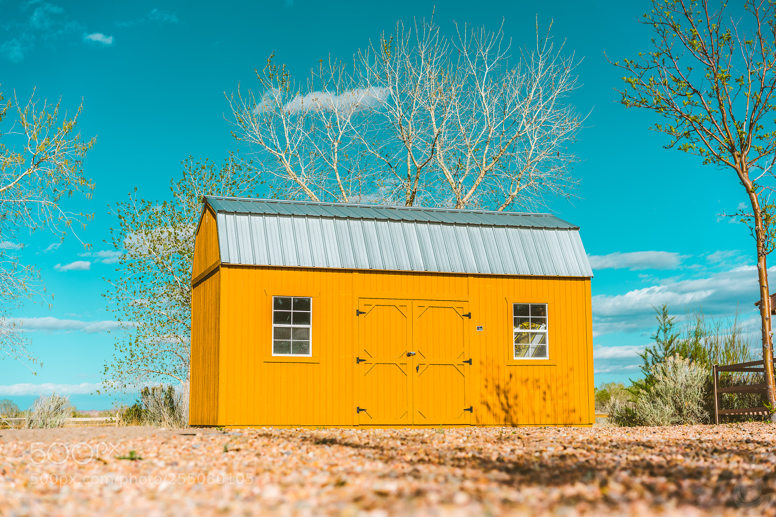 Sony a7R II sample photo. Shed life photography