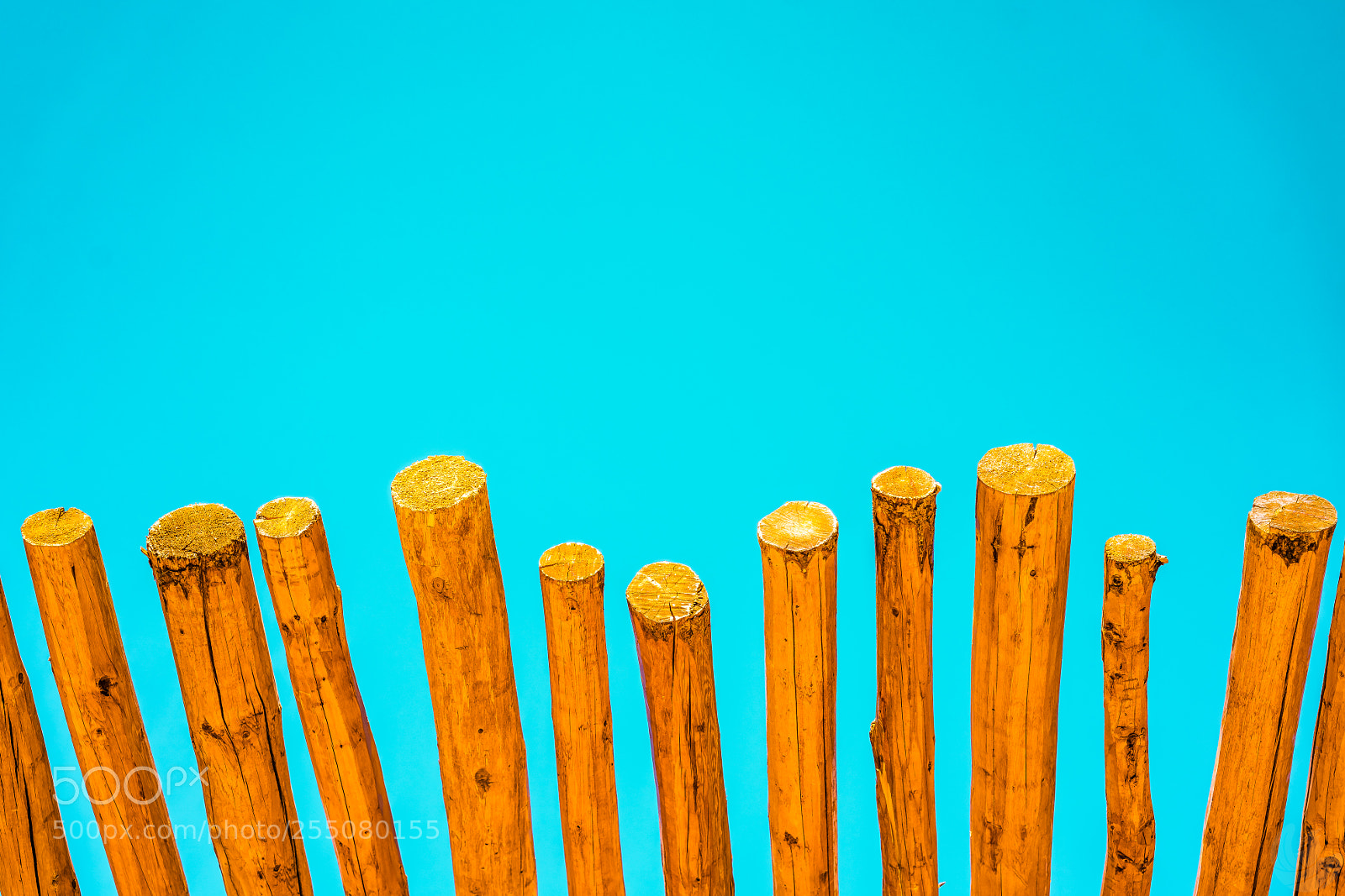 Sony a7R II sample photo. Breadsticks over sky photography