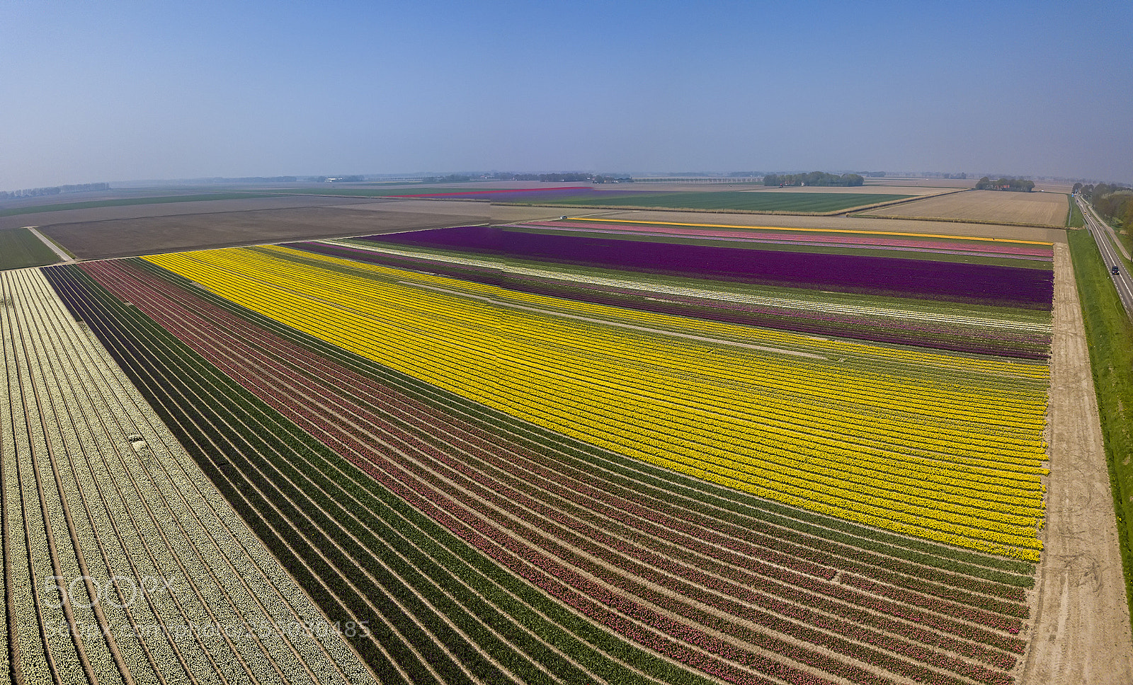 DJI FC220 sample photo. Aerial view tulip festival! photography