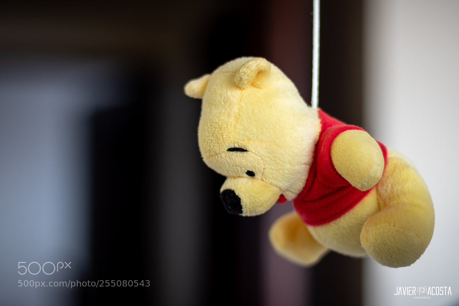 Canon EOS 77D (EOS 9000D / EOS 770D) sample photo. Winnie the pooh photography