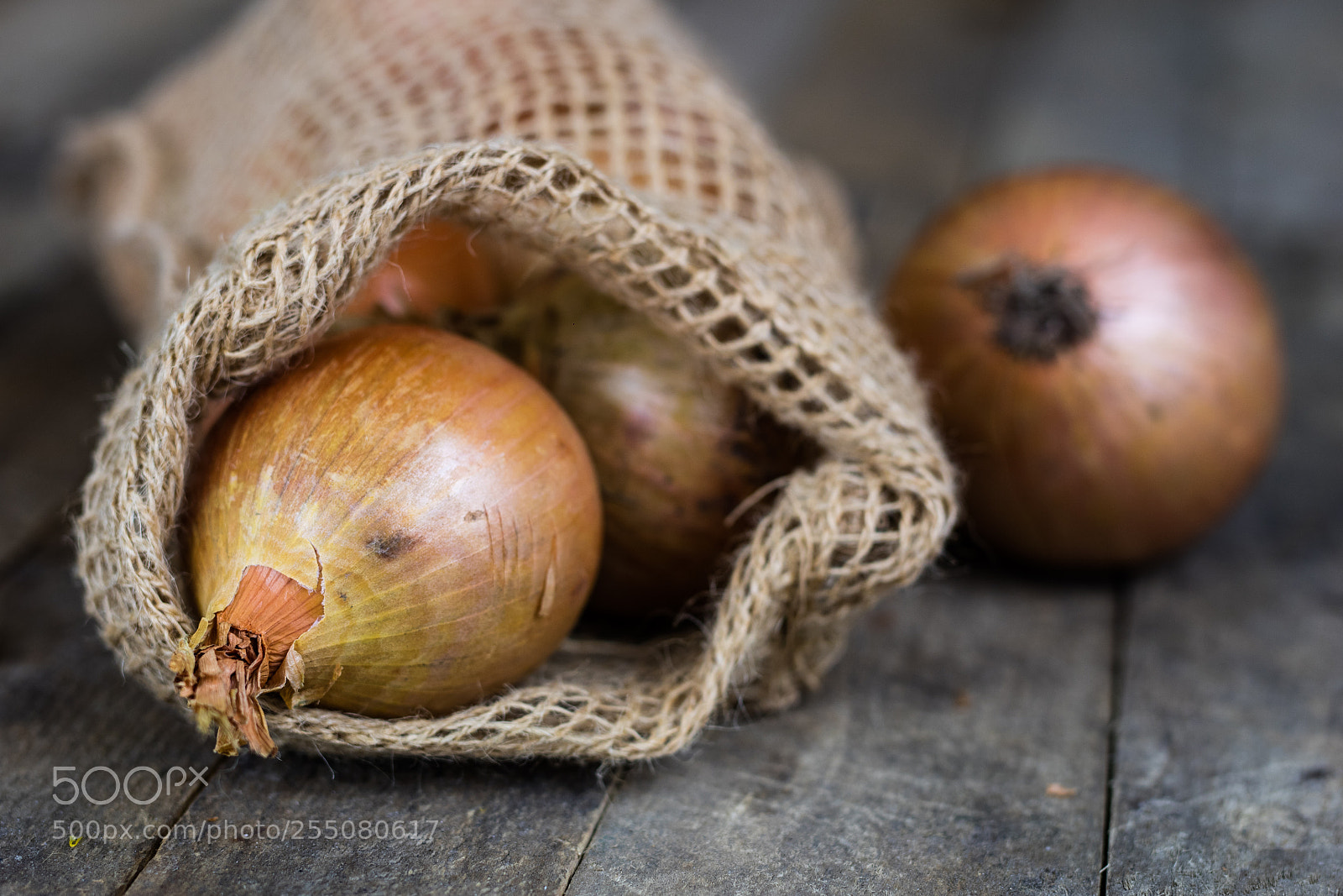 Canon EOS M3 sample photo. Tasty ripe onion in photography